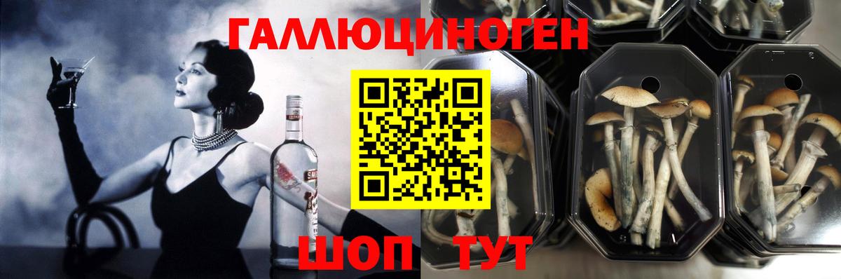Псилоцибиновые грибы MAGIC MUSHROOMS Фрязино
