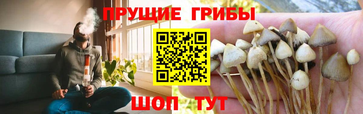 Псилоцибиновые грибы MAGIC MUSHROOMS  Вход с VPN  Фрязино 
